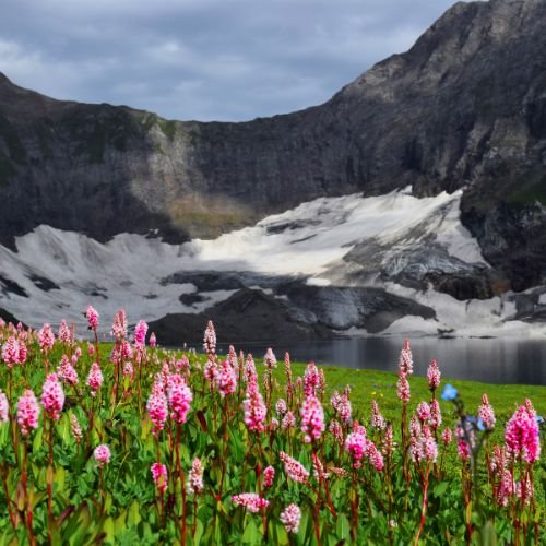 listing-details-carousel